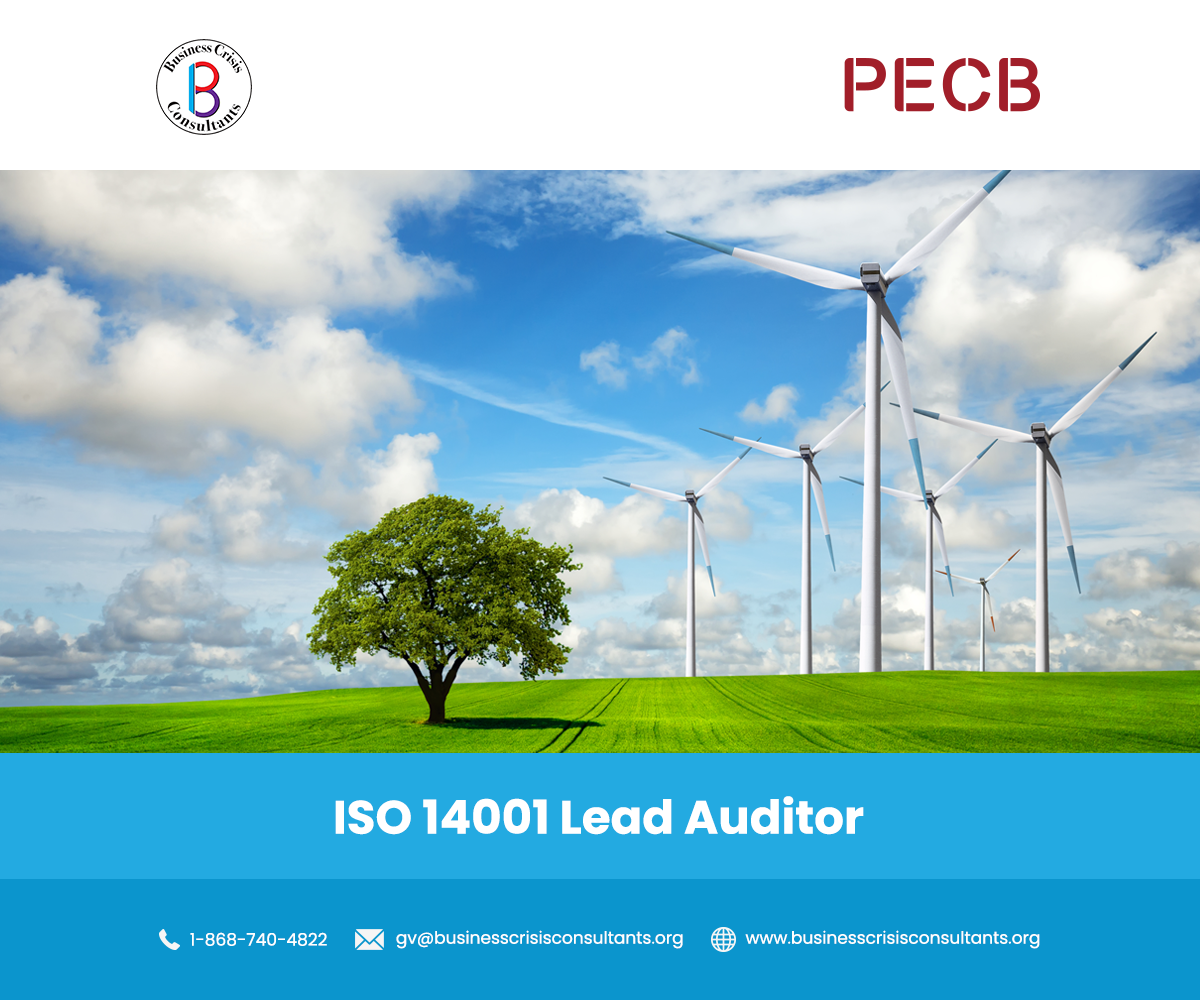 Business Crisis Management